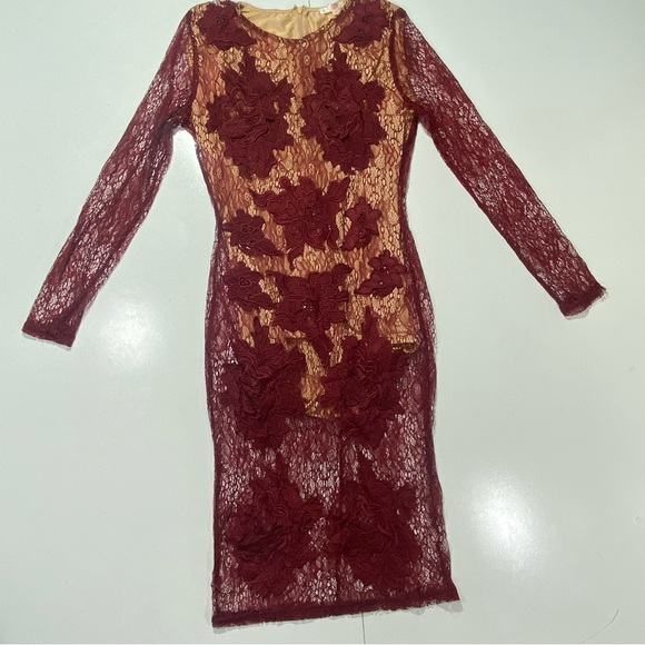 Luxxel Maroon Sheer Net Embroidered Floral Bodycon Dress With Nude Bodysuit M - Picture 2 of 15